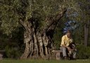 JV APPOLO TREE.JPG